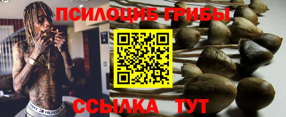 Псилоцибиновые грибы GOLDEN TEACHER Корсаков